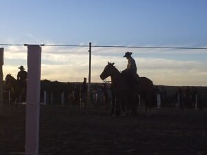 PANORAMA DO PAMPA: Introdução ao Turismo Regional